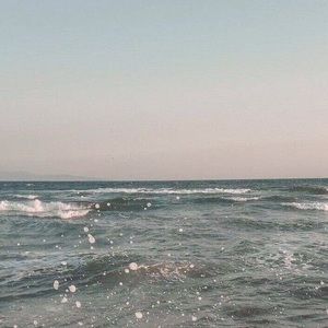 Meet your Posher, Bella